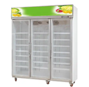 Supermarket Commercial Beverage Display Double Door Refrigerator