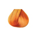 Kiss Beauty Kiss Tintation Semi-Permanent Hair Color 5 Ounce Ginger